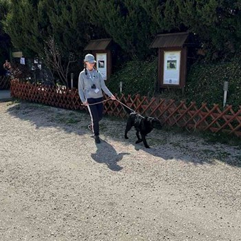 thumbnail petsitter Biatorbágy or pet nanny for dogs