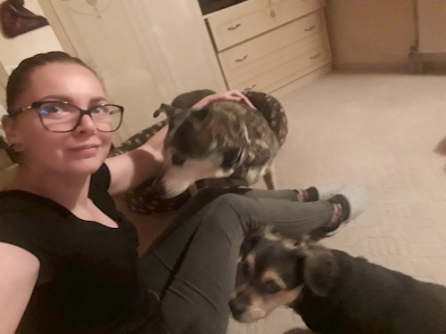 Kiss- petsitter Budapest vagy Állat szitter a kutyák cicák