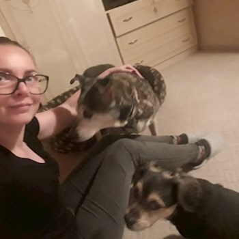 thumbnail petsitter Budapest vagy Állat szitter a kutyák cicák