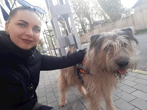 Kiss- petsitter Budapest vagy Állat szitter a kutyák cicák