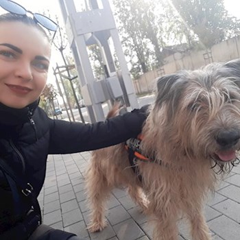 thumbnail petsitter Budapest vagy Állat szitter a kutyák cicák