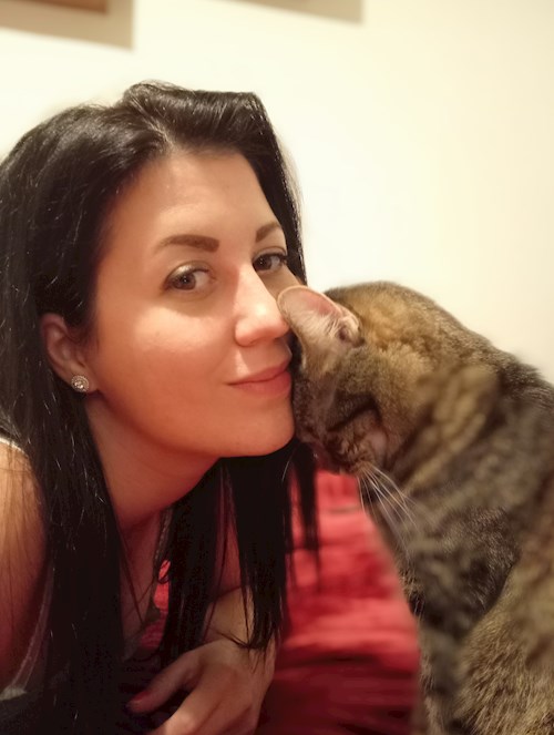 Anett- petsitter Budapest or Pet nanny for cats
