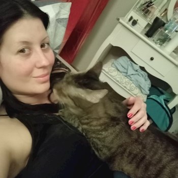 thumbnail petsitter Budapest or pet nanny for cats