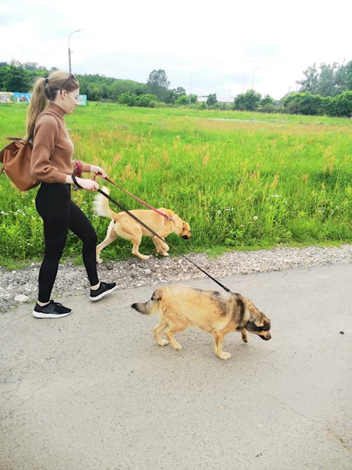 Betti- petsitter Budapest or Pet nanny for dogs cats