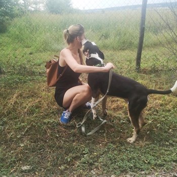 thumbnail petsitter Budapest or pet nanny for dogs cats