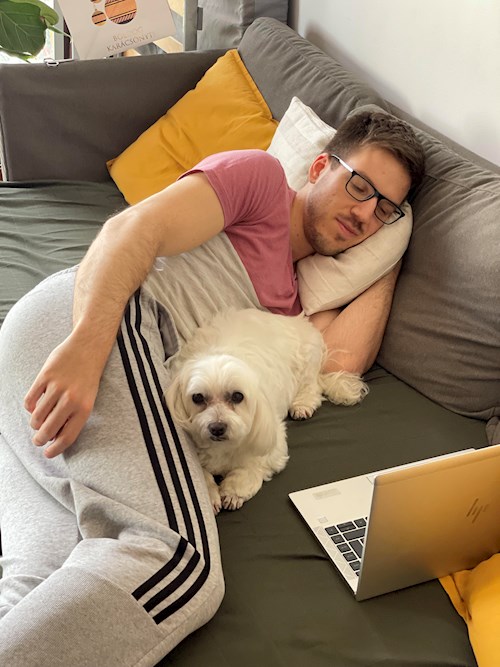 Kabát- petsitter Budapest vagy Állat szitter a kutyák cicák