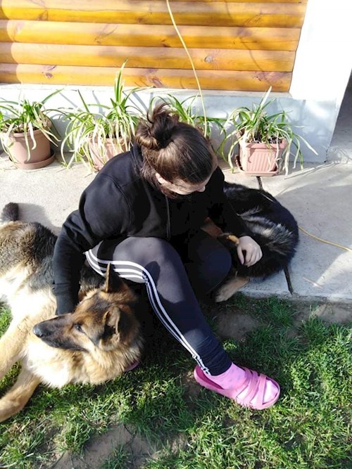 Dóra- petsitter Debrecen or Pet nanny for dogs cats