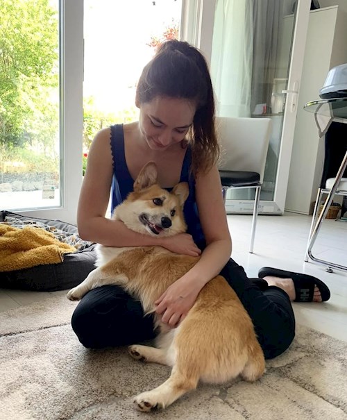 Kata- petsitter Budapest vagy Állat szitter a kutyák cicák