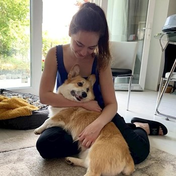 thumbnail petsitter Budapest vagy Állat szitter a kutyák cicák