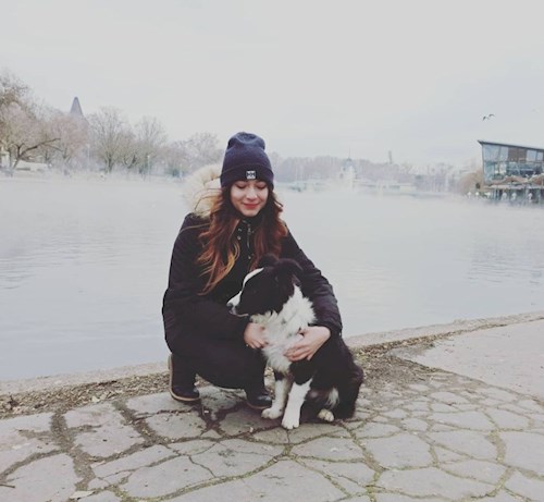 Kata- petsitter Budapest vagy Állat szitter a kutyák cicák