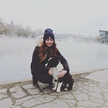 thumbnail petsitter Budapest vagy Állat szitter a kutyák cicák