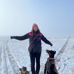 petsitter Budapest vagy Állat szitter a Kutyák Cicák