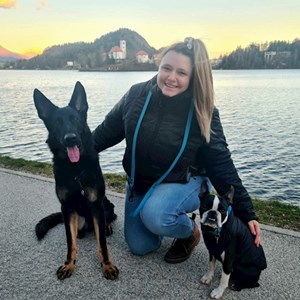 petsitter 1211, Budapest vagy Állat szitter a Kutyák Cicák