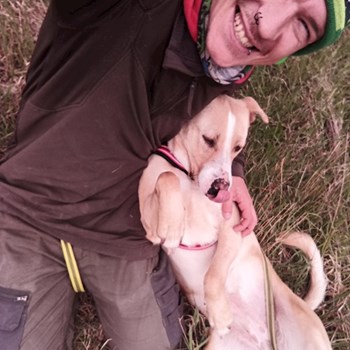 thumbnail petsitter Budapest or pet nanny for dogs cats