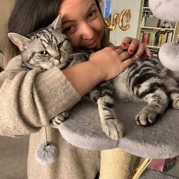 thumbnail petsitter Budapest vagy Állat szitter a