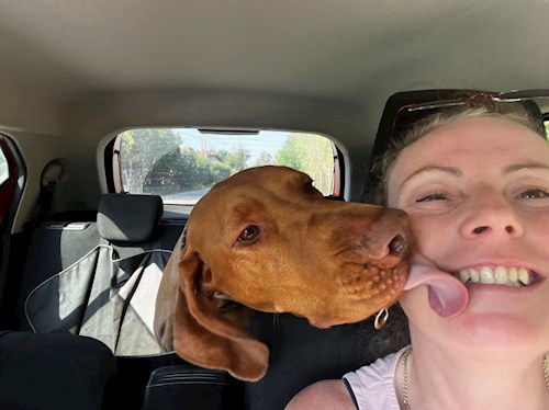 Krisztina- petsitter Budapest vagy Állat szitter a kutyák cicák
