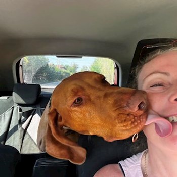 thumbnail petsitter Budapest vagy Állat szitter a kutyák cicák