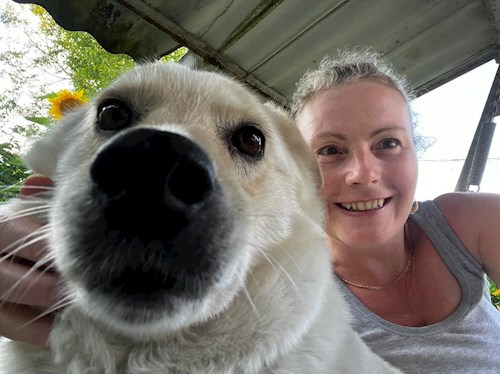 Krisztina- petsitter Budapest vagy Állat szitter a kutyák cicák