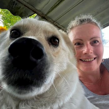 thumbnail petsitter Budapest vagy Állat szitter a kutyák cicák