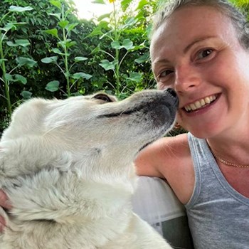 thumbnail petsitter Budapest vagy Állat szitter a kutyák cicák