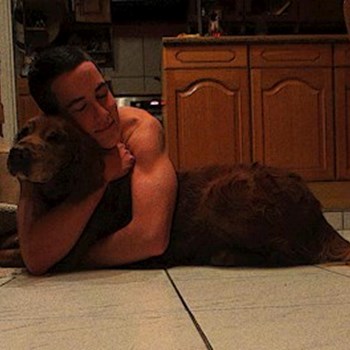 thumbnail petsitter Budapest or pet nanny for dogs cats