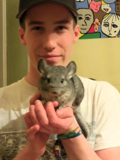 Szabó- petsitter Budapest or Pet nanny for dogs cats