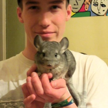 thumbnail petsitter Budapest or pet nanny for dogs cats