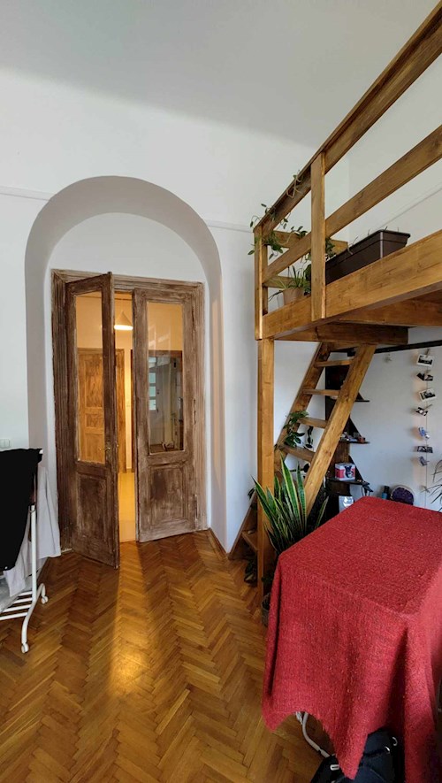 Szabó- petsitter Budapest or Pet nanny for dogs cats