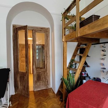 thumbnail petsitter Budapest or pet nanny for dogs cats