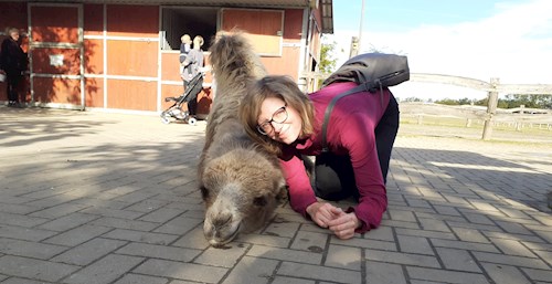 Fenyvesi- petsitter Ádánd vagy Állat szitter a kutyák cicák 