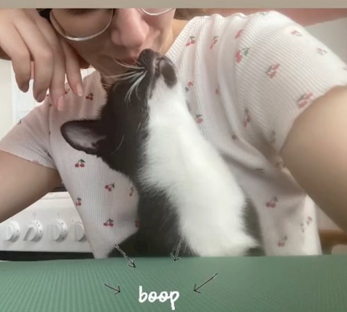 Laczkó- petsitter Szeged or Pet nanny for dogs cats