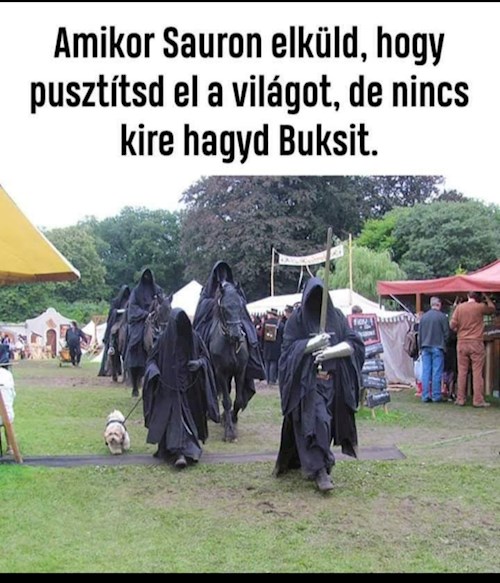 Kata- petsitter Budapest or Pet nanny for dogs cats