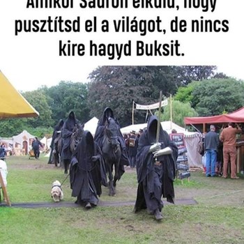 thumbnail petsitter Budapest or pet nanny for dogs cats