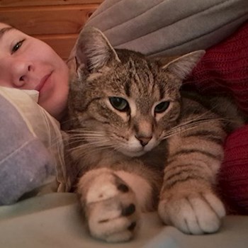 thumbnail petsitter Budapest vagy Állat szitter a cicák