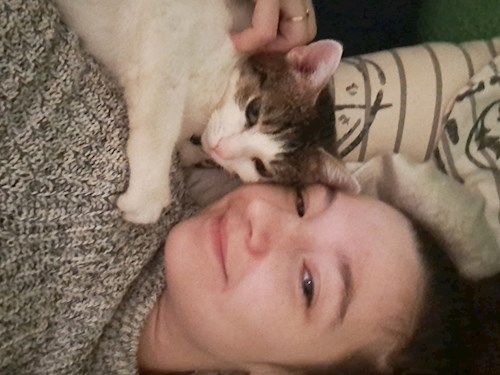 Kitti- petsitter Budapest vagy Állat szitter a cicák