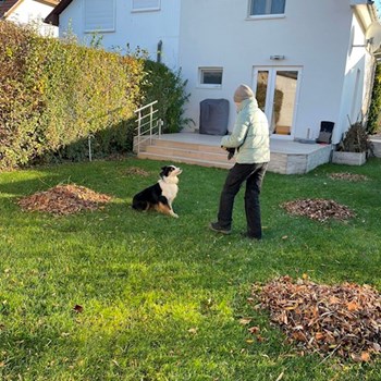 thumbnail petsitter Budapest or pet nanny for dogs cats