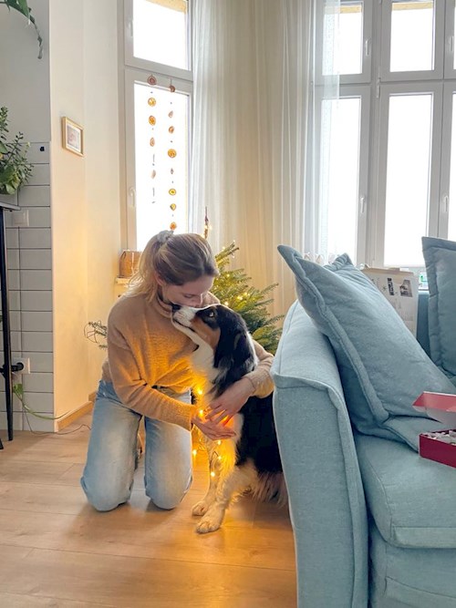 Vizkievicz- petsitter Budapest or Pet nanny for dogs cats