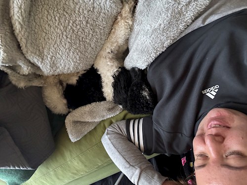 Horváth- petsitter Budapest vagy Állat szitter a