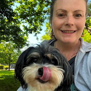 thumbnail petsitter Budapest vagy Állat szitter a kutyák cicák