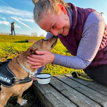 thumbnail petsitter Budapest vagy Állat szitter a kutyák cicák
