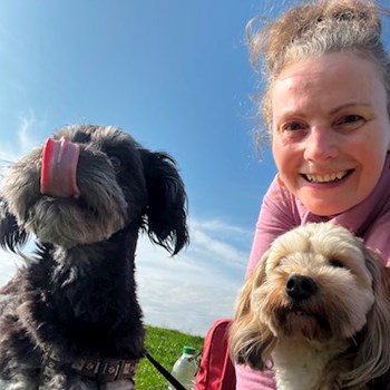 thumbnail petsitter Budapest vagy Állat szitter a kutyák cicák