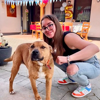 thumbnail petsitter Budapest vagy Állat szitter a kutyák cicák