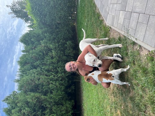 Kiss- petsitter Budapest vagy Állat szitter a kutyák cicák