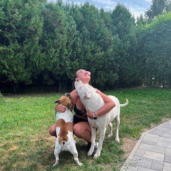 thumbnail petsitter Budapest vagy Állat szitter a kutyák cicák