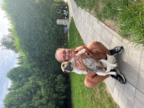 Kiss- petsitter Budapest vagy Állat szitter a kutyák cicák