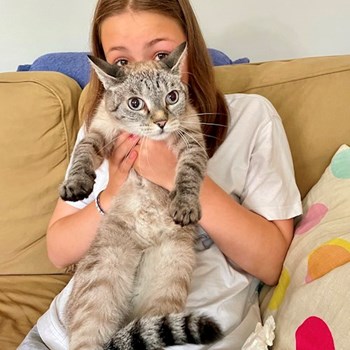 thumbnail petsitter Budapest vagy Állat szitter a kutyák cicák