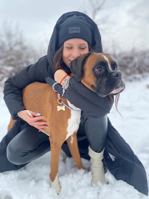 Korcsmáros- petsitter Budakeszi or Pet nanny for dogs