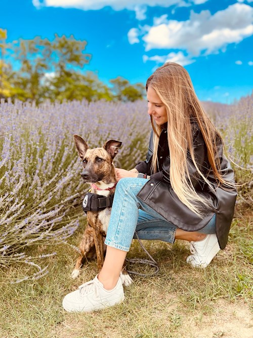 Korcsmáros- petsitter Budakeszi or Pet nanny for dogs