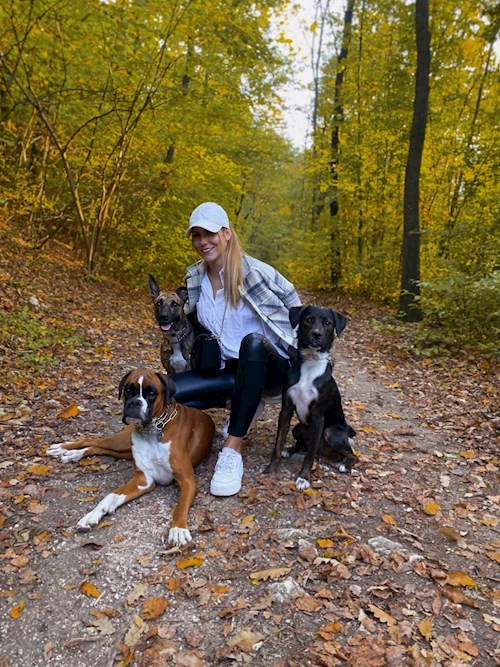 Korcsmáros- petsitter Budakeszi or Pet nanny for dogs