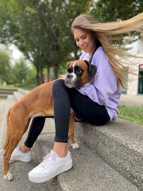 Korcsmáros- petsitter Budakeszi or Pet nanny for dogs